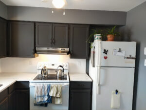 Kitchen Remodel