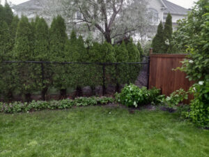 Chain Link Fence and Landscaping